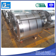 Qualidade de Exportação Hot Dipped Galvanized Steel Coil